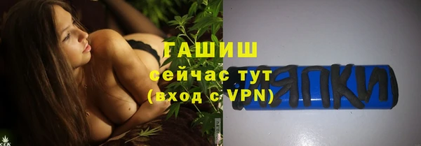 МДПВ Елабуга