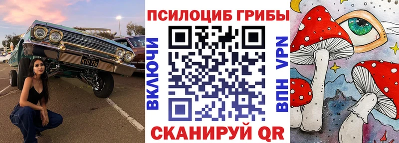 Псилоцибиновые грибы прущие грибы  Купить закладки  Алушта 